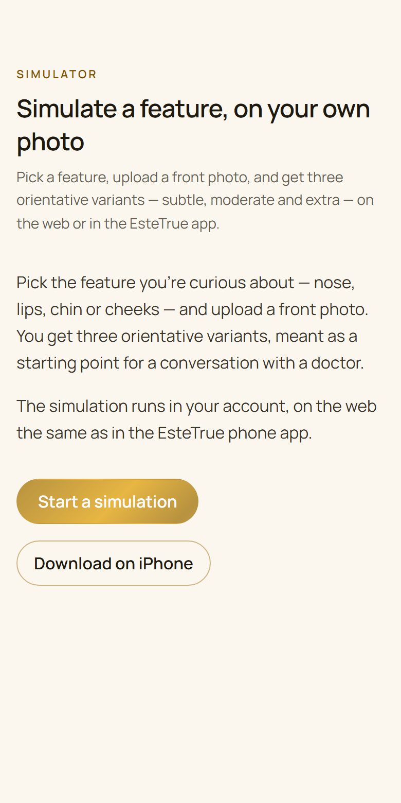The “Simulator” screen in EsteTrue