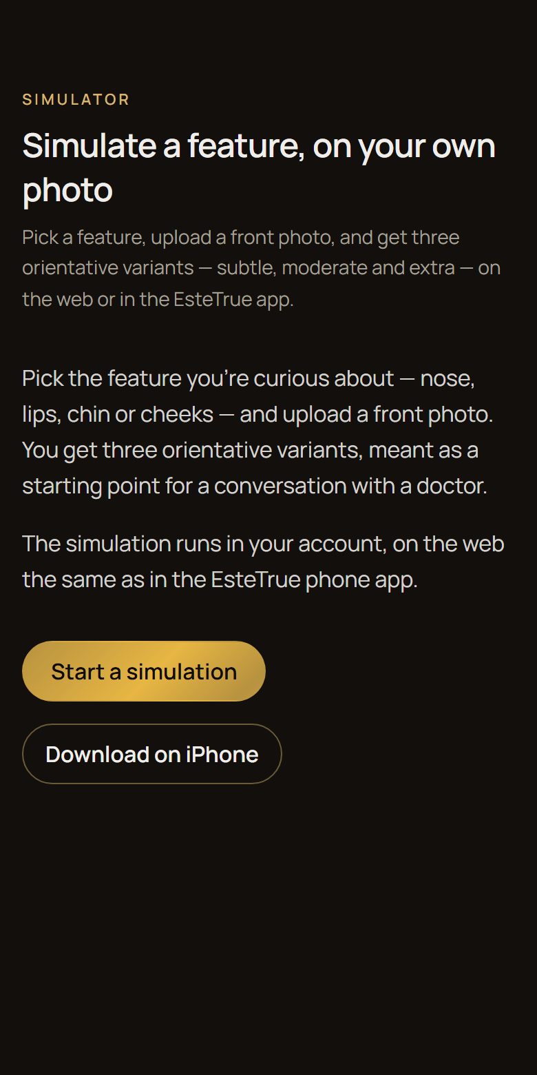 The “Simulator” screen in EsteTrue